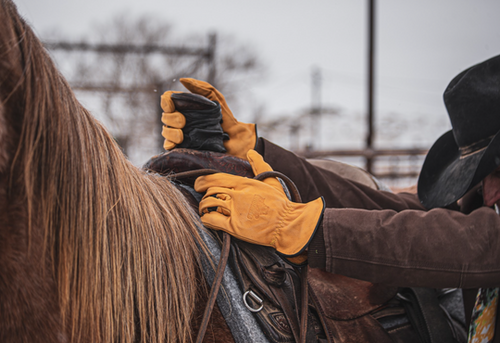 Bear Knuckles Old Faithful - D351 Gloves